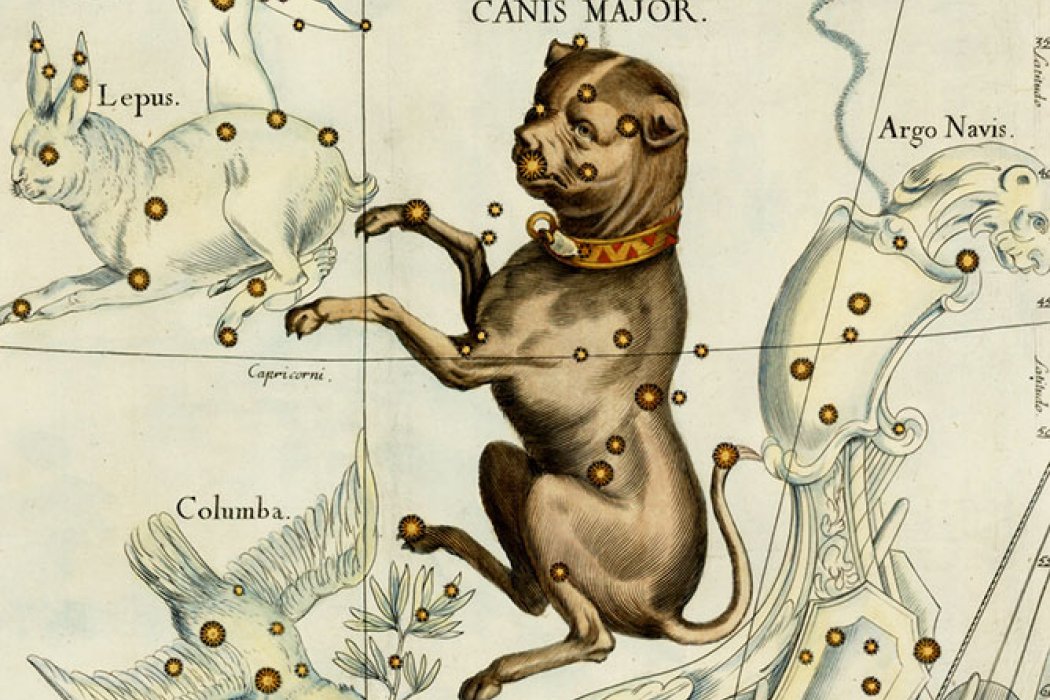 Eylül Esintisi - Büyük Köpek (Canis Majör) ve Küçük Köpek (Canis Minör) Takımyıldızları