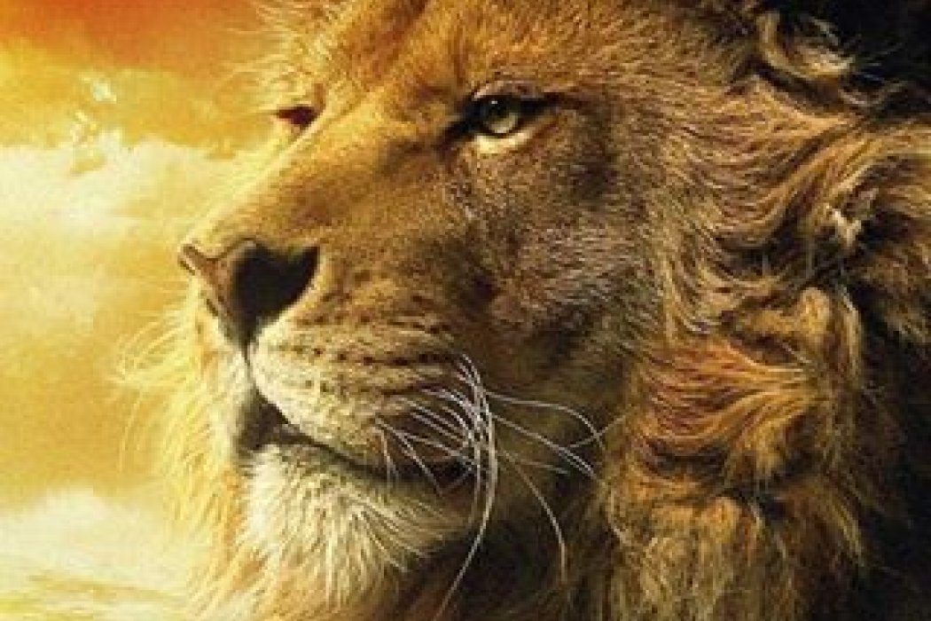 Eylül Esintisi - ZAMAN ASLAN İKEN... (5)
